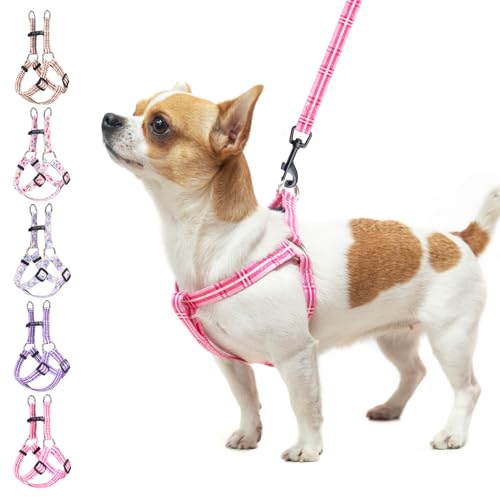 BEAUTYZOO No Pull Dog Harness and Leash Set - Adjustable Step-in Puppy Harness for Small Medium Large Dogs, Escape Proof Soft Nylon Vest with Double D Ring for Walking Running Training, Pink Plaid XS