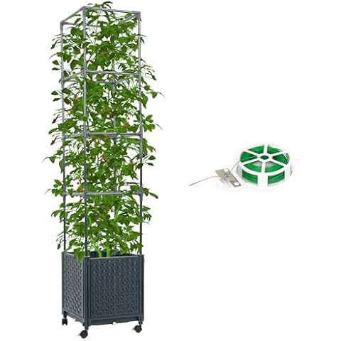 DXront Raised Garden Bed with Trellis Cover