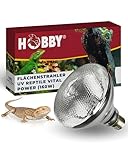HOBBY Terraristik UV Reptile vital Power I UV-Lampe für Terrarien I 160 W I UV- Lampe für die Reptilienhaltung I UV-Flächenstrahler für sonnenbadende Reptilien I energieeffizient & langlebig