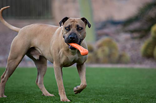 Jolly Pets 9-Inch, Jolly Bone, Orange, Large #TOP1