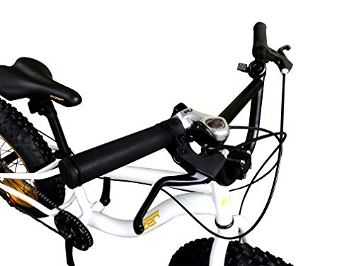 Eizer(アイゼル)『ファットバイクF120』