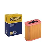 Hengst Air Filter - Insert