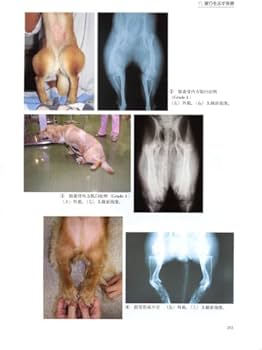 Amazon.co.jp: 主要症状を基礎にした犬の臨床 : 前出吉光: 本