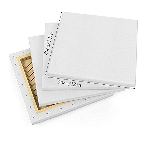 Pack of 6 Artist Blank Stretched Canvas Frames 12'' x 12'',Art Canvas Panel Boards,Acid Free - Painting, Drawing Acrylic Pouring, Oil Paint