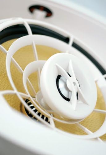 Un altre view of the pivoting tweeter mechanism