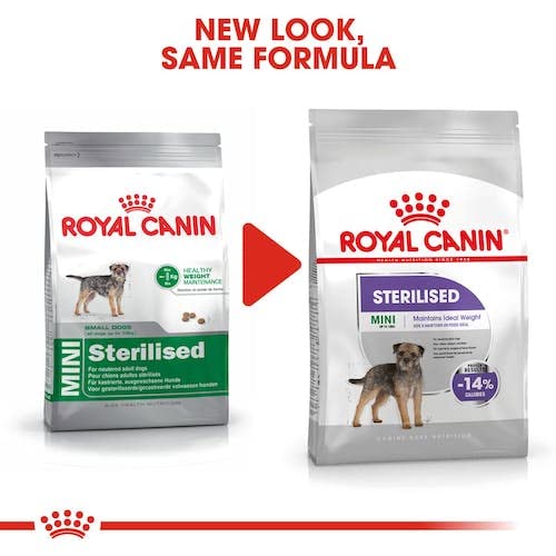 Royal Canin CCN Sterilised Mini | 1kg | Alleinfuttermittel für kleine Hunde | Für ausgewachsene und kastrierte kleine Hunde mit Neigung zur Gewichtszunahme | Trockenfutter