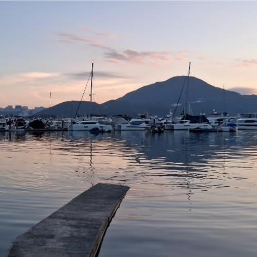 Between the Whole World and the Sea