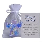 Entgoinggo Trauergeschenke, Vergissmeinnicht-Anhänger, Andenken mit weißem Kristall-inspiriertem Finish, dekoratives Beileidsgeschenk (1)