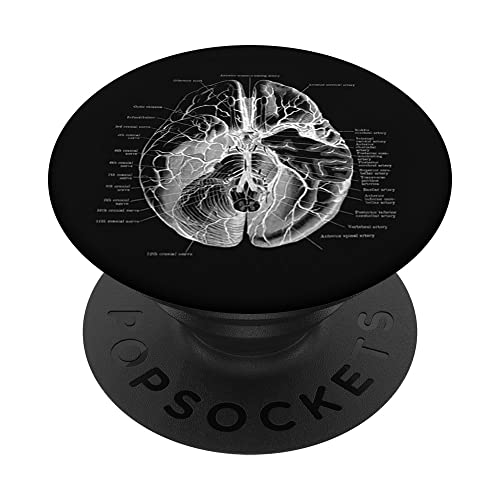 Cool Human Anatomy Body Parts Biology Brain Design en negro PopSockets PopGrip Intercambiable