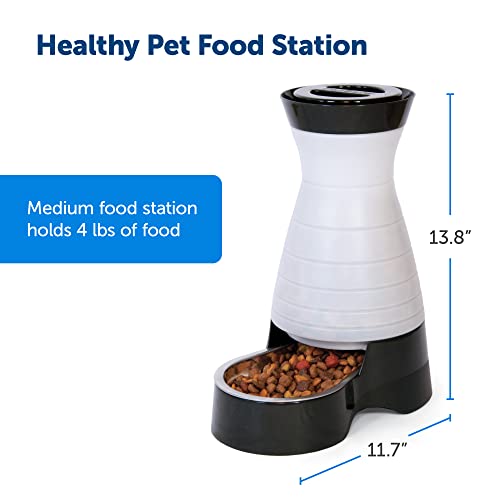 Petsafe Healthy Pet Food Station - Medium, 4 Lb Kibble Capacity - Automatic Cat & Dog Feeder - Removable Stainless Steel Bowl Resists Corrosion & Stands Up To Frequent Use - Easy To Fill & Clean #TOP2