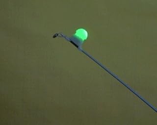Prettyui Sea Fishing LED Rod tip Night Light Strike Alert Glow Stick bite Alarm