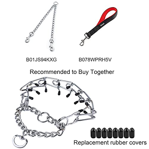 Pettom Dog Prong Collar Dog Choker Pinch Collar No Pull With Comfort Rubber Tips Silver Plating Adjustable Link Chain For Medium Large Dogs Pitbull (Xs 18.3 Inch) #TOP5