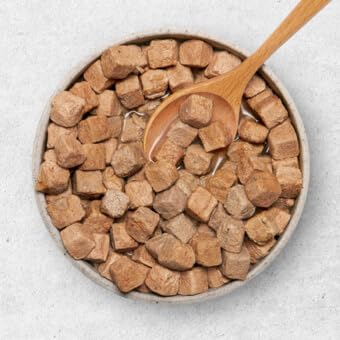 ULTIMATE PET NUTRITION Nutra Complete, 100% Freeze Dried Veterinarian Formulated Raw Dog Food with Antioxidants Prebiotics and Amino Acids, (1 Pound, Pork)