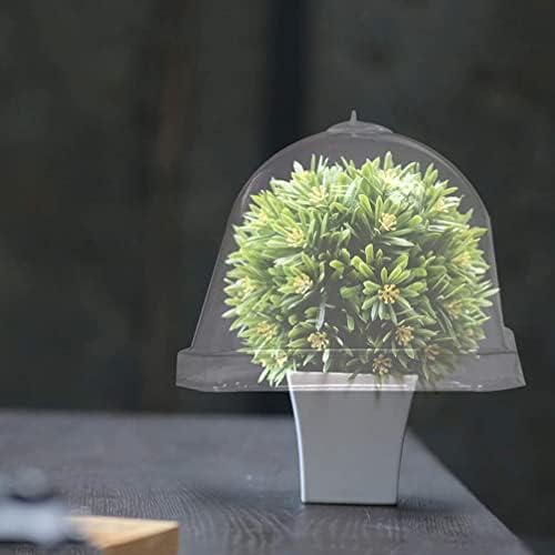 Cabilock 10pcs Garden Cloche Dome Plastic Plant Cover Bell Cover Mini Greenhouse Plant Frost Guard Freeze Protection for Fruits Vegetables