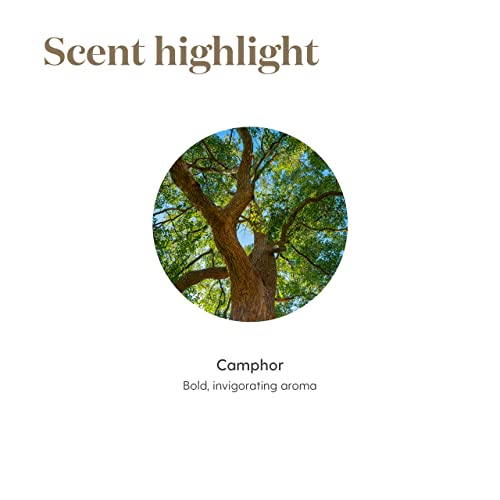 Ravintsara Essential Oil 5Ml By Young Living Essential Oils #TOP4