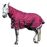 Gallopoff 1680D Winterdecke Pferd 300g/m² mit Halsteil – Gefütterte, Wärmende, wasserdichte & Atmungsaktive Pferdedecke, Robuste Outdoordecke für kalte Tage Rot 150 cm