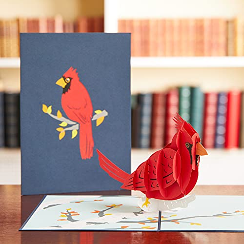 Lovepop Cardinal Pop Up Card, 5X7-3D Greeting Card, Animal Card For Every Occasion - Birthday, Sympathy, Anniversary, Thinking Of You #TOP2
