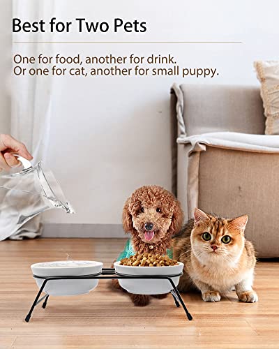 Cat Bowls, 15° Tilted 13 Oz Ceramic Elevated Cat Food Bowls For Food And Water, Raised 2 Cat Dishes With Stainless Steel Stand Non-Slip And Anti-Rust, For Indoor Cats And Small Dog, Dishwasher Safe #TOP4