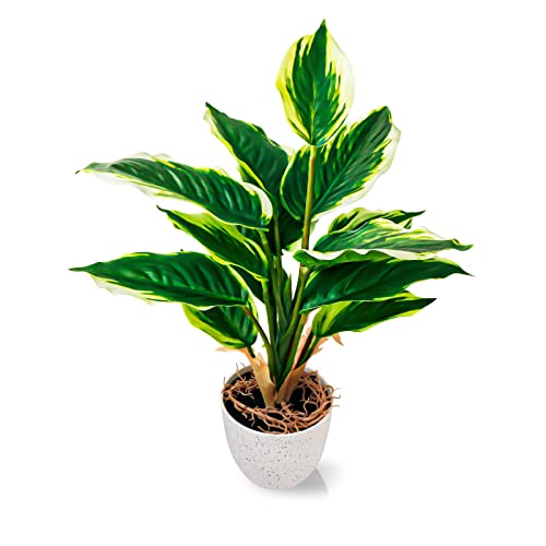 Planta artificial en maceta Dieffenbachia simulación de plantas verdes, 24 cm, planta de plástico artificial, para decoración del hogar, oficina, boda, jardín, color verde