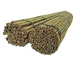 ✅GRAN PRODUCTO: Palos de bambú macizo para un amplio uso, especialmente al aire libre, para estabilizar plantas u organizar el jardín. Estos palos de bambú se pueden utilizar en numerosas áreas.