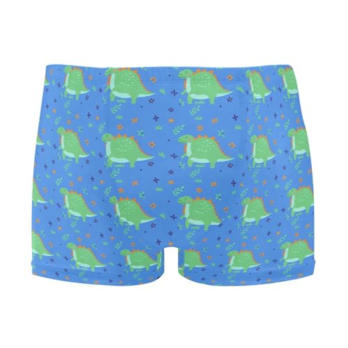 Blue Dinosaur Dino Mens Swim Trunk Swimwear Bathing Suit Swim Brief Square Leg Board Short S B0405344