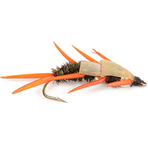 image for The Fly Fishing Place Trout Fly Assortment - Double Bead Nymph Collect