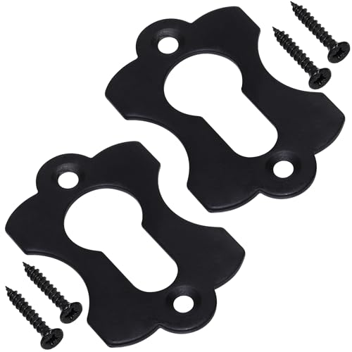 AERZETIX - C73732 - Paire de 2 rosettes plaques 60x38x2 mm pour cylindre profilé - cache trou de clé - en métal - couleur noir - porte rosace ferrure...