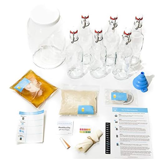 Joshua Tree Kombucha Deluxe Starter Kit - Contains Live SCOBY and Starter Tea, 1 Gallon Glass Fermentation Jar, Temp Gauge, Ph Strips, Easy Fermenting Instructions and 6 Glass Flip Top Bottles