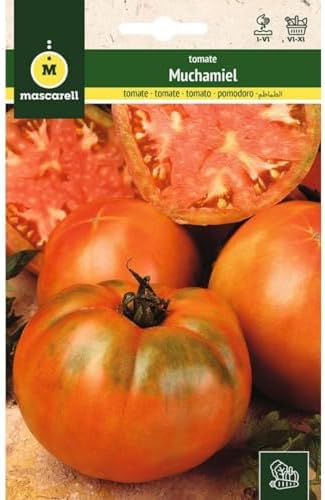 Mascarell Semillas, TOMATE, Semillas Huerto, TOMATE MUCHAMIEL, Cr...