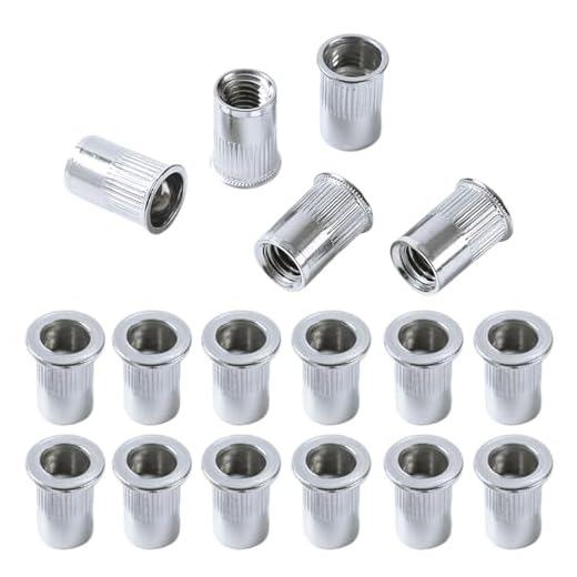 QANCEN 10 Stück Nietmuttern M10, Edelstahl Hülsenmutter A2 V2A Gewindenieten, Flachkopf Runde Einnietmuttern Rivet Nutsert, Blindnietmuttern für Metallbleche, Bleche, Rohre usw