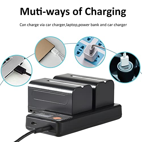 Dste Replacement For 2X Np-F750 + Rapid Dual Lcd Battery Charger Compatible Sony Ccd-Trv215 Tr917 Tr315 Hdr-Fx1000 Hdr-Fx7 Hvr-V1U Z7U Z5U Camera As Np-F730 Np-F770 With Type-C And Micro-Usb Port #TOP4