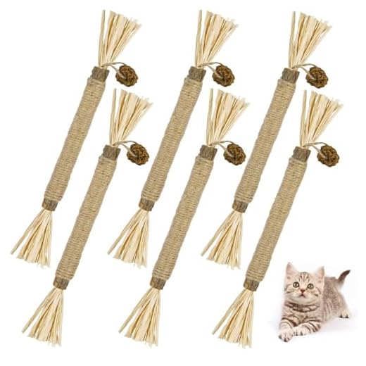Katzenminze Sticks für saubere Zähne