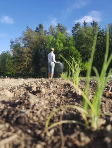 Gem&uuml;slich: Solidarische Landwirtschaft in Freistadt