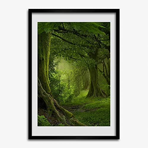 Tableau cadre bois 50x70 cm Tulup affiche moderne peinture jungle tropicale