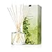 Thymes - Eucalyptus Aromatic Oil Reed Diffuser - Gift Set with Premium Sticks, Glass Bottle and Scented Oil - 6.5 oz