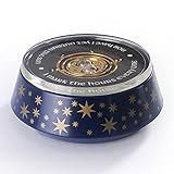 The Noble Collection Time Turner Special Edition (2) - Image 2
