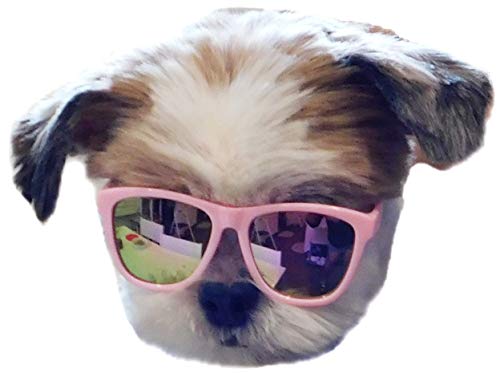 G014 �� �L �y�b�g 80�N�� �T���O���X �S�[�O�� ���^���p �ő�15�|���h (�s���N-�s���N�~���[)