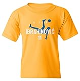 KING THREADS Sweden Soccer Player Air Ibrahimovic Youth Tee Unisex T-Shirt (Gold, Youth X-Large)