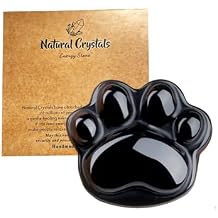 AITELEI Obsidian Cat Paw Crystals and Healing Stones, Natural Stone for Anxiety Relief, Worry Stones for Stress Relief, Unique Crystal Figurines Gift for Crystal Cat Lovers Women Men Obsidian