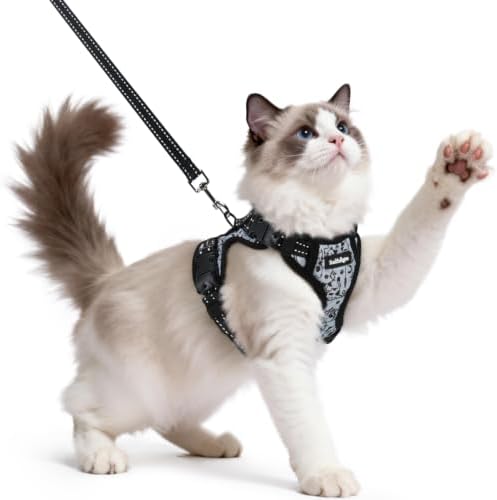 rabbitgoo Katzengeschirr mit Leine mit Hals-Klickverschluss, M, Grau Katze | Kein Über-Kopf-Ziehen, Ausbruchsicher, Verriegelte Schnallen, Weiches Air-Mesh, Reflektierend, für Mitt