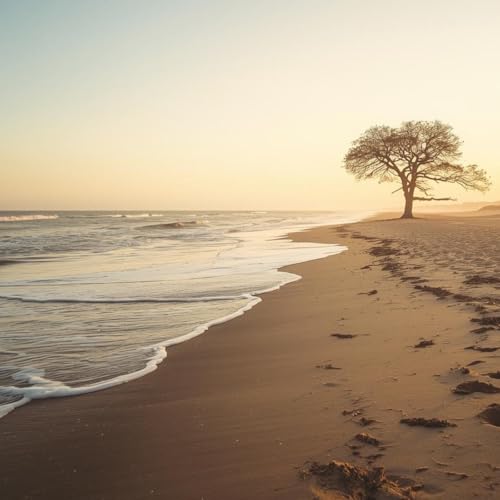 Hypnose Transpersonnelle &reg; 393 : Solitude, Prendre sa place et Ouverture aux autres