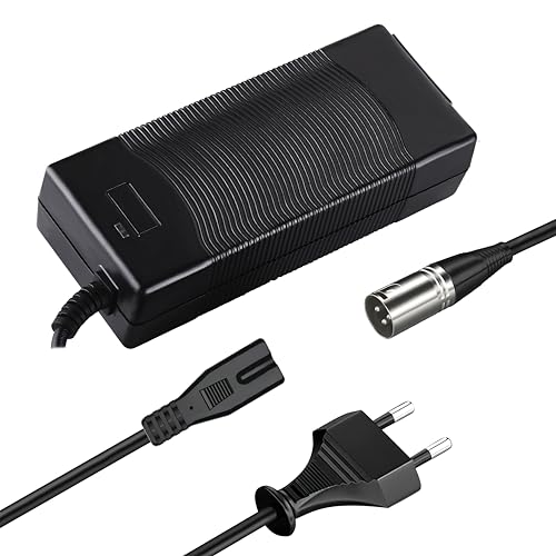 Scooter Corner 24V 29,4V 2A Netzteil Ladegerät,für 24V 10AH...