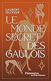Le monde secret des gaulois (French Edition)