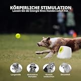 ALL FOR PAWS Automatischer Hundeballwerfer, Wiederaufladbarer Ballwerfer für große Hunde, Interaktive Tennisballwurfmaschine für Hunde, Apportierspielzeug für Welpen, mit 3 Bällen