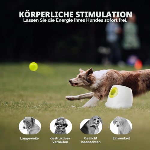 ALL FOR PAWS Automatischer Hundeballwerfer, Wiederaufladbarer Ballwerfer für große Hunde, Interaktive Tennisballwurfmaschine für Hunde, Apportierspielzeug für Welpen, mit 3 Bällen – Produktbild 5