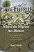 Where the Negroes Are Masters: An African Port in the Era of the Slave Trade
