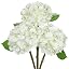 Cream White