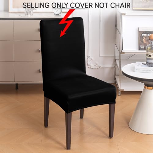 Image of HOKIPO 'SereneSolids' Stretchable 140 GSM Dining Chair Cover, Fully Covered - Set of 2, Black (AR-6246-BLK)