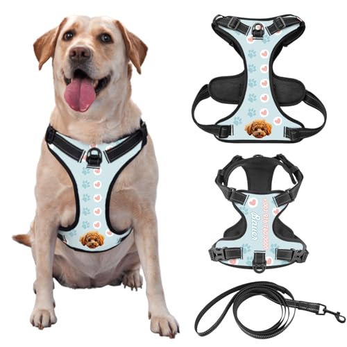 Pettorina Personalizzata Anti-Tiro per Cani - Pettorina Riflettente con Immagine - Adatta per Cani e Gatti (Taglia Piccola/Media/Grande) - Guinzaglio Opzionale