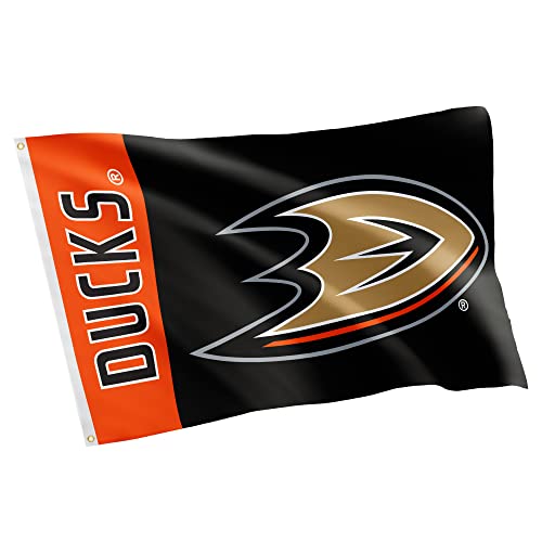 Desert Cactus Anaheim Ducks Flag NHL 100% Polyester Indoor Outdoor 3x5 feet National Hockey League Team Flags (Name Flag)